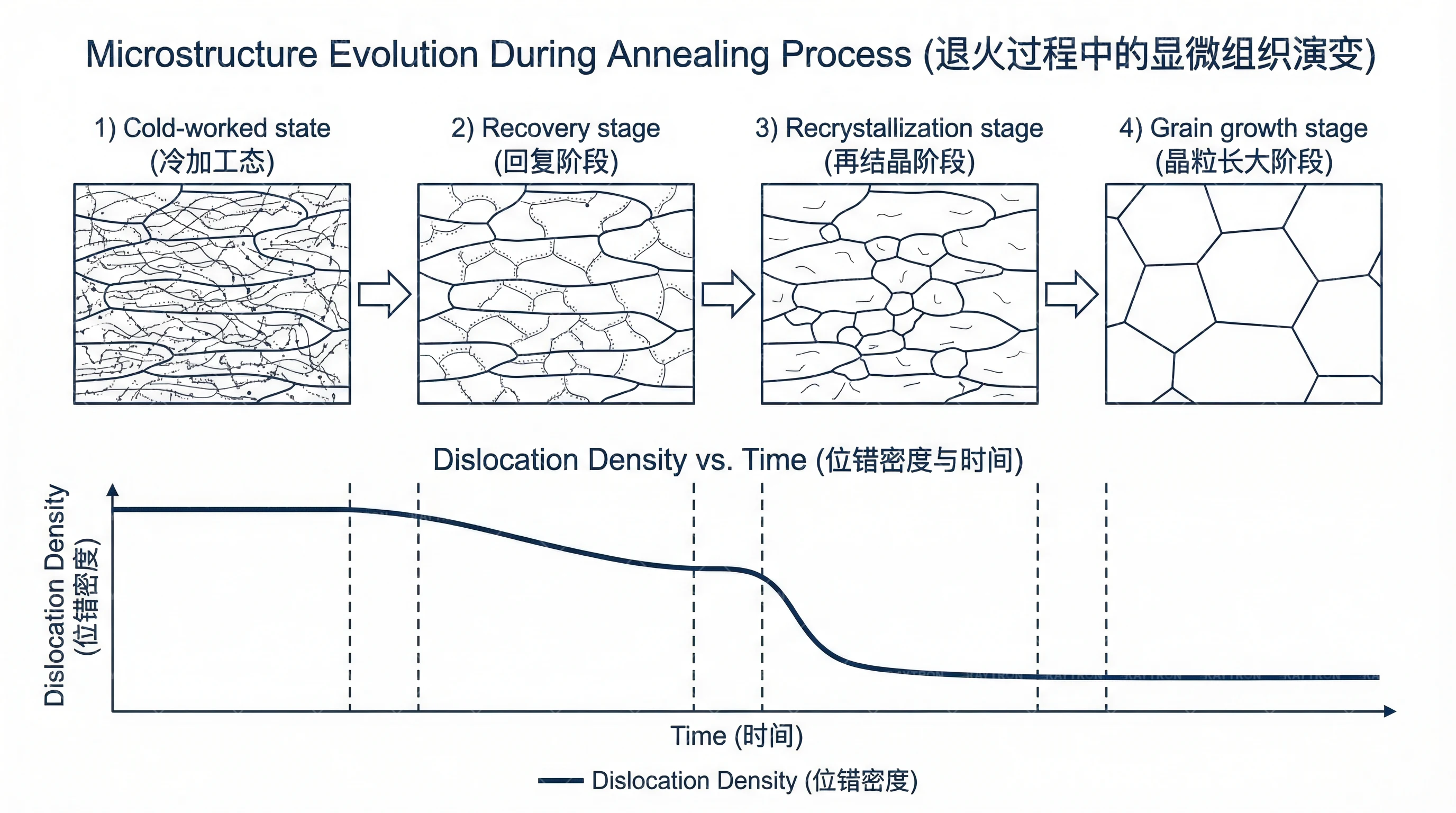 界面演变SEM照片